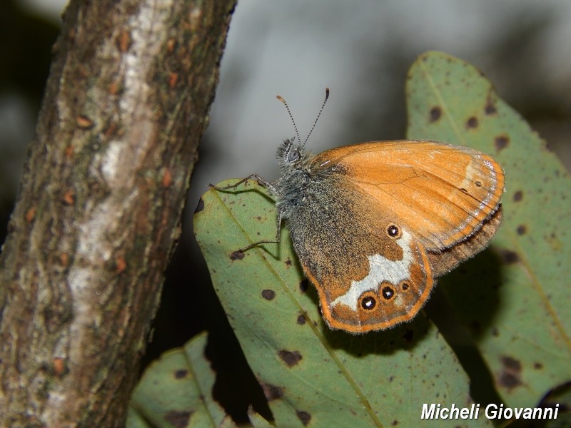 Parco del Ticino : incontri del 12/9/15